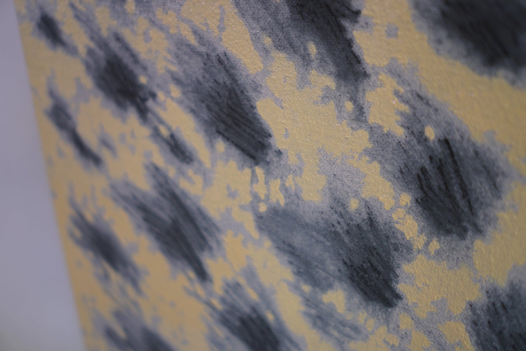 カラスの影分身